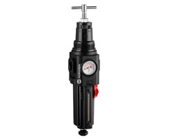 Excelon Plus Filter/Regler für den Einsatz bei höheren Temperaturen, 1/2" PTF, 5 µm, 0,7–17 bar, automatische Entleerung